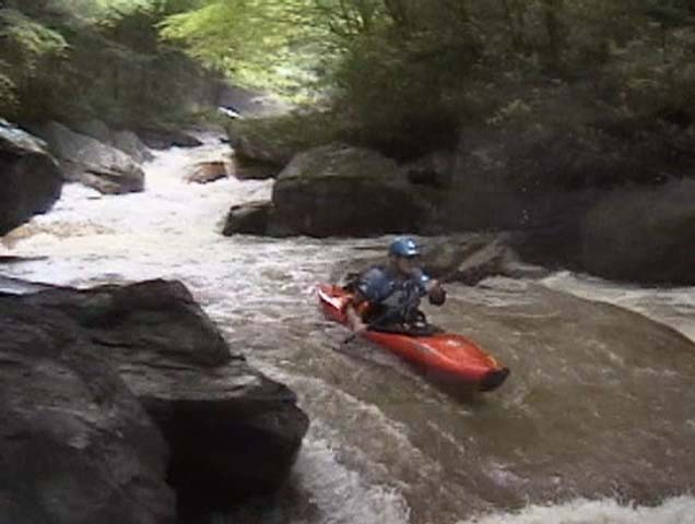 Cow Pissing On a Flat Rock