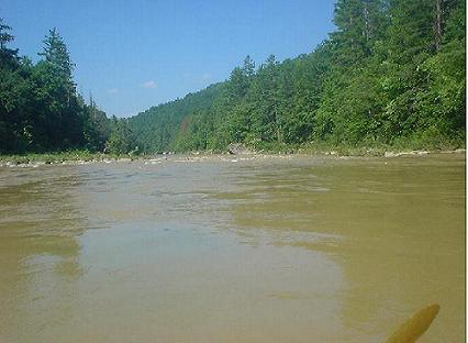 Typical of the Class II