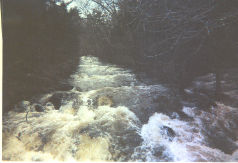 Takeout Bridge Rapid (III+)