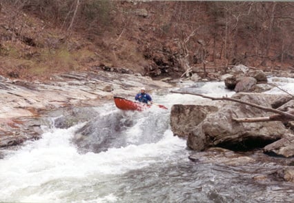 Bambi Meets Godzilla