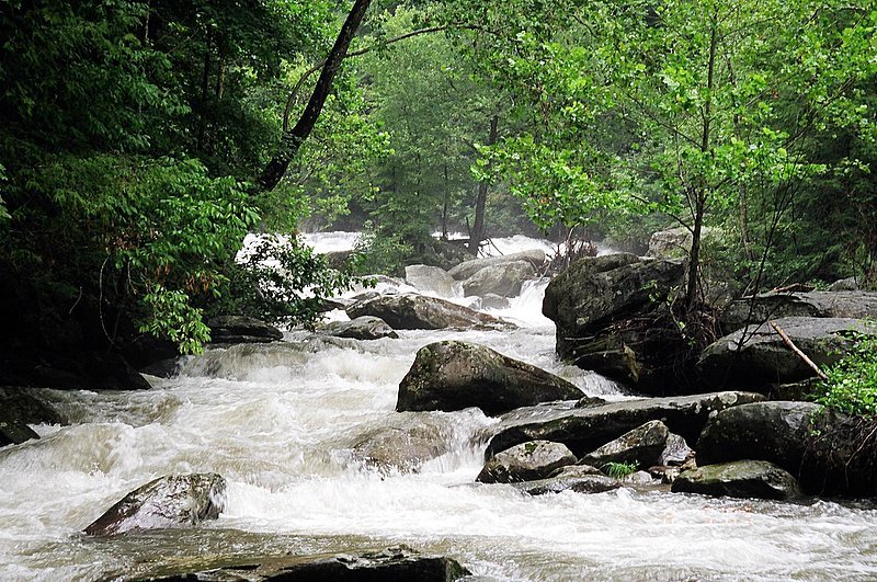 Boulder Clog below the falls