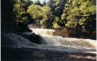 Lower Potter's Falls