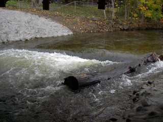 Cassopolis Street Bridge Rapid