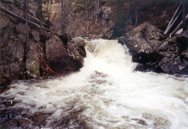 DeForrestation Rapid