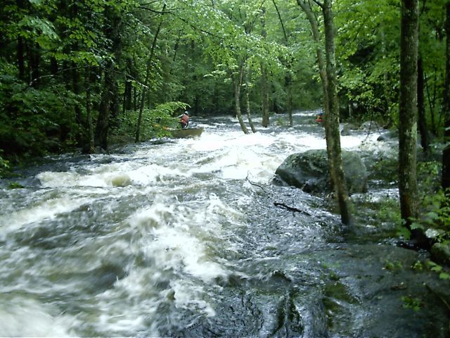 Trees in Miller Time