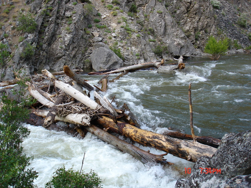 Fiddler (aka b***ches brew)