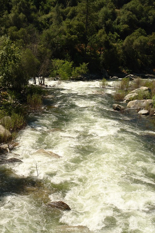 Confluence with N. Fork Kings