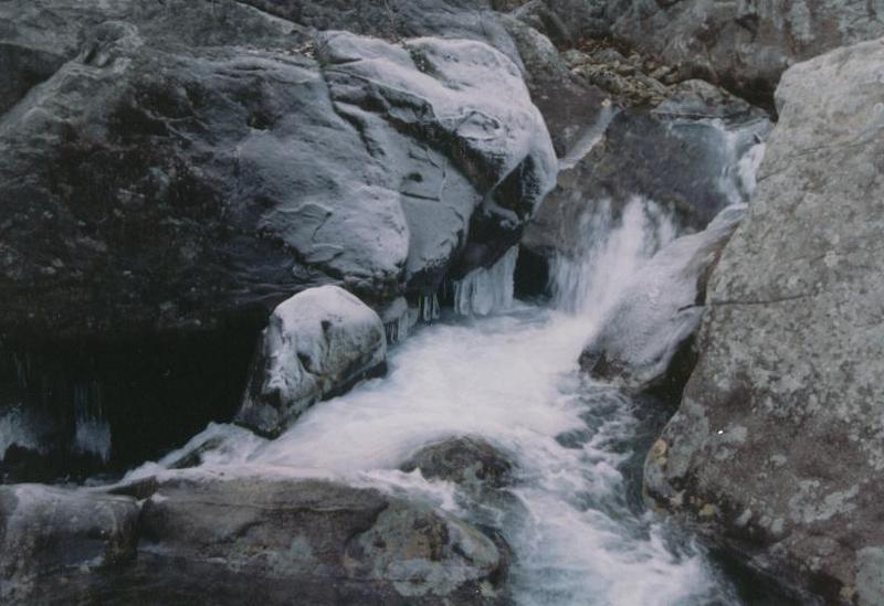 Typical undercut Mullens mank