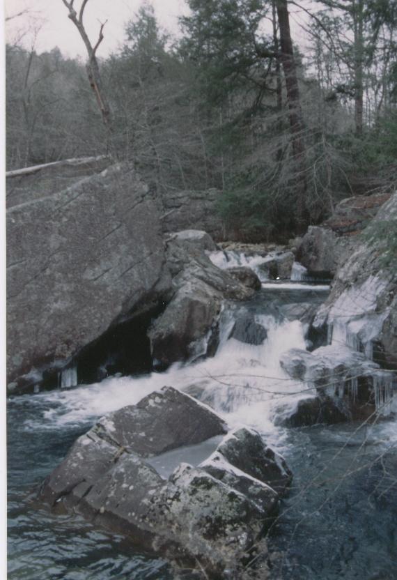 Typical Mullens Rapid