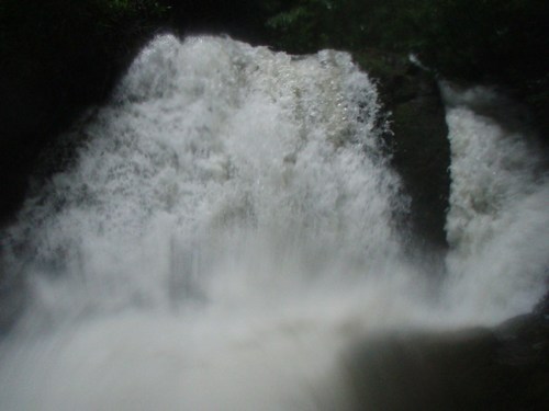 Bring Me My Brown Pants