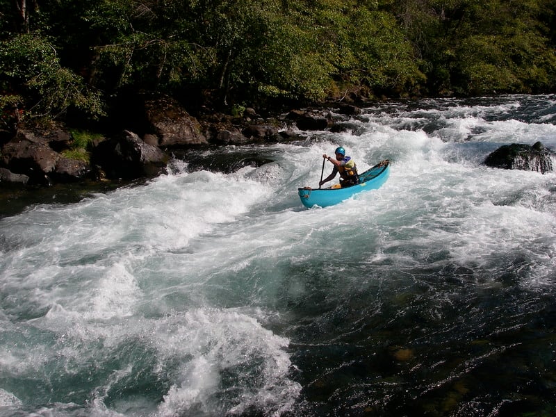 Eiffel Tower (African Queen)