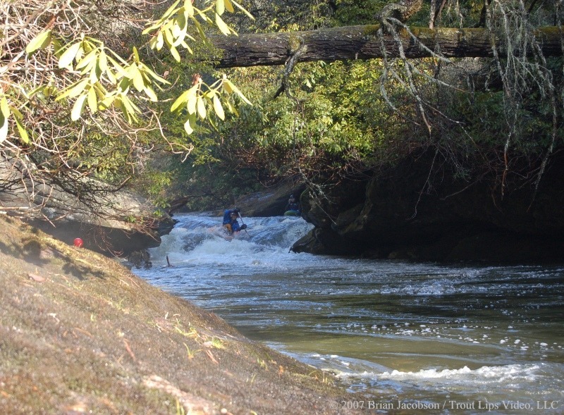 Potholes Left, Logs Right