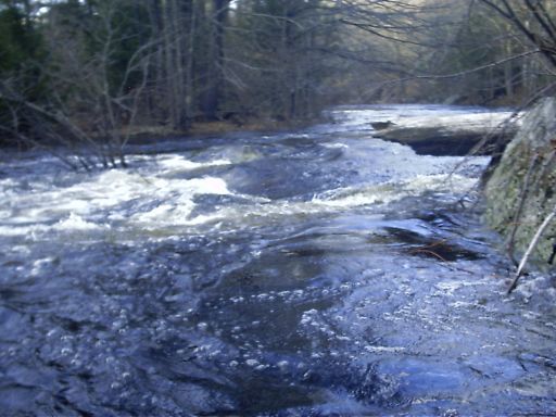 Typical River Character in Lower Section.