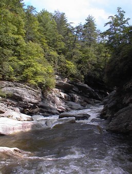 Welcome to Bob's World