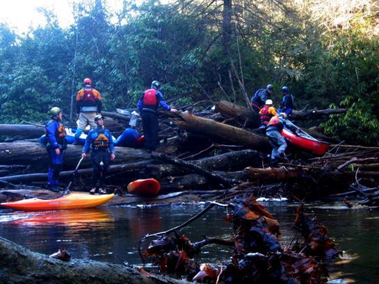 Log Jamb (Impaction)