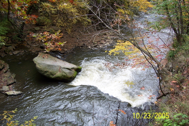 Butterfly Rock Rapid