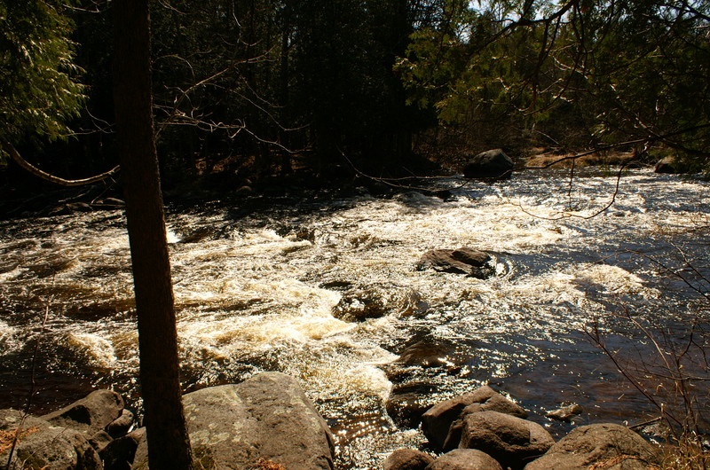 Oxbow Rapids