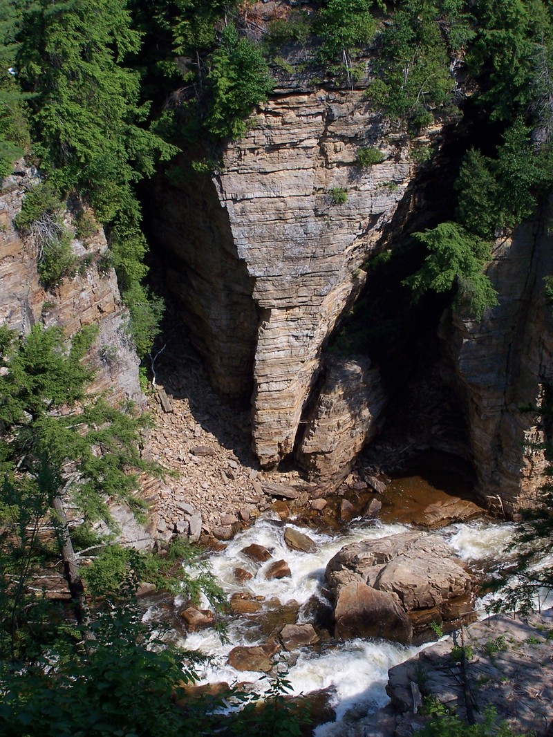 Left Side Elephant Head