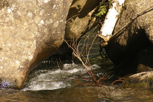 Split Hair Rock- Dangerous Undercut with Sieve