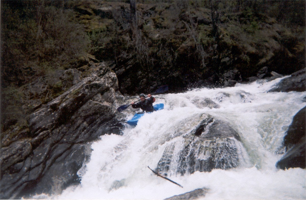 Good to the Last Drop (Take Out Immediately Below)