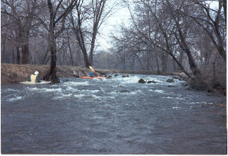 Wellfield Botanical Gardens Dam