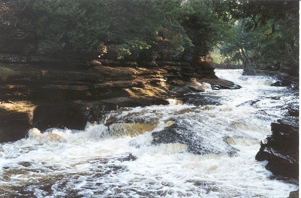 Swinging Bridge (Zoom Flume)