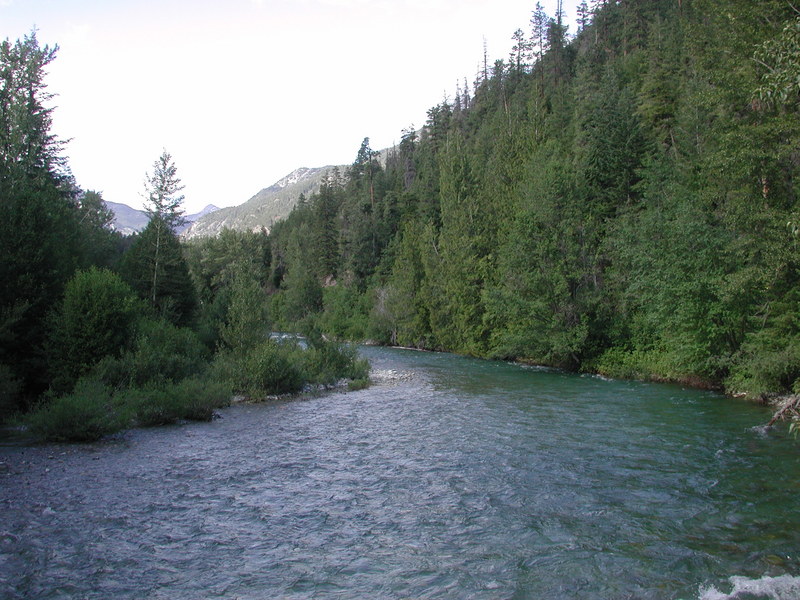 River Road Bridge Take-Out