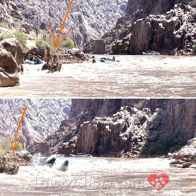 232 Mile Rapid, Killer Fang Falls (6)