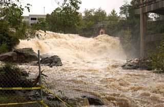 Reedy Falls (Big Brother)