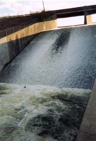 Little Grassy Lake Spillway (Drainage: ~15.5 sq.mi.)