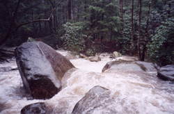 State Park Rapid (Boof and Boogie)