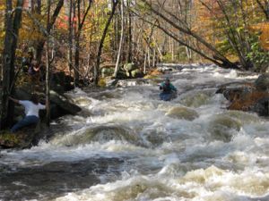 Buzzell Hill Rapid