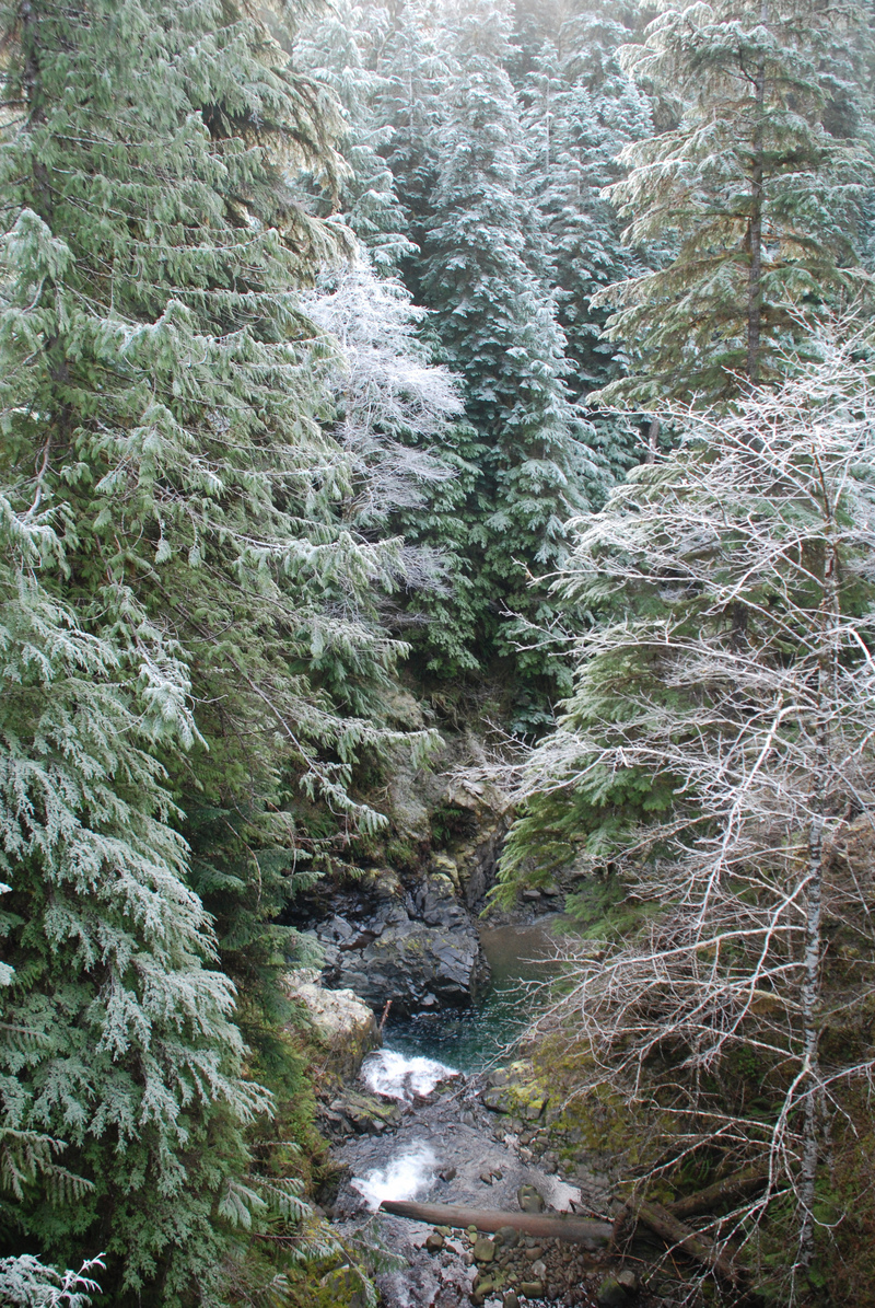 Brandeberry Creek Access