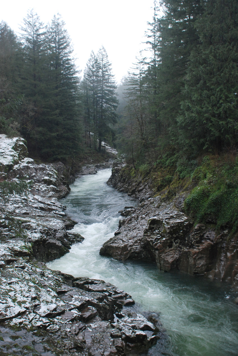 Canyon at Hantwick Bridge