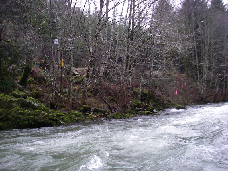 Weyerhaeuser Gate Access