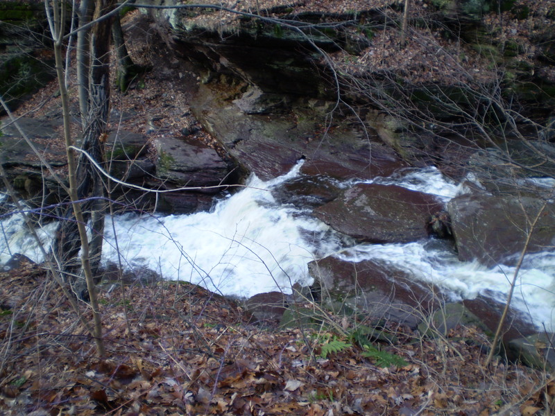 Entry to the Jersey Devil