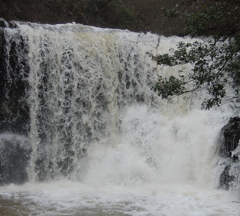 First Falls a.k.a. Ankle Breaker