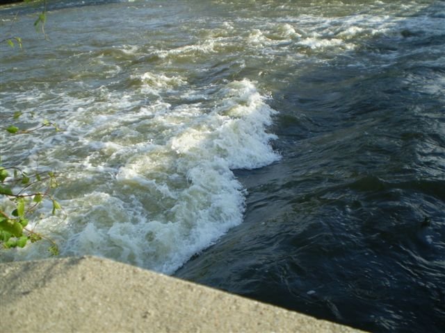 (Left Channel) Elm Street Waves