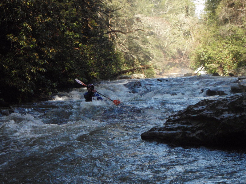 Good Boogy Below Taylor Shoals Portage