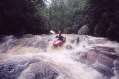 Chelie the middle line