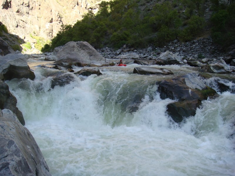 Life in the Fast Lane