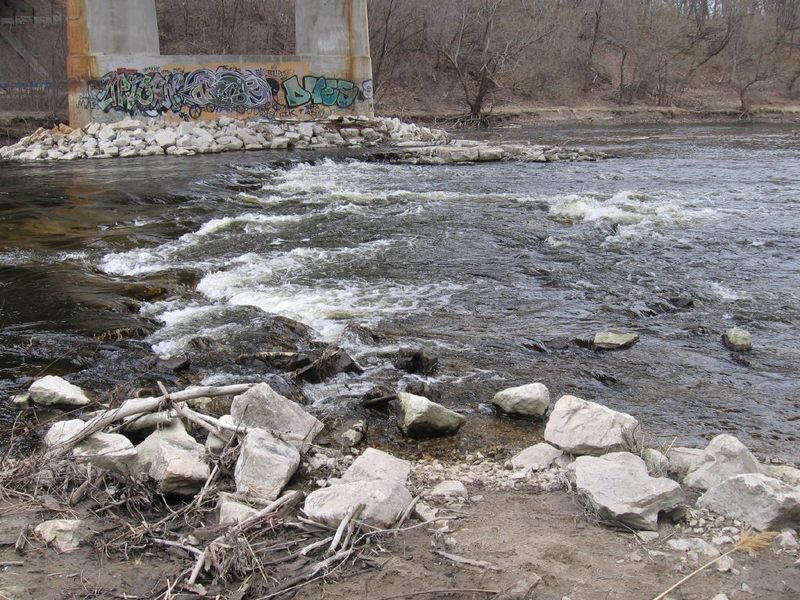 The Plague at Locust ("PAL")