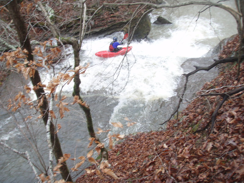 Monday Morning Surprise