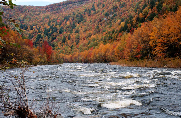 Three Quarter Mile Long