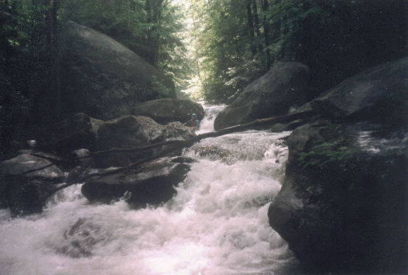 State Park Rapid (Boof and Boogie) from below