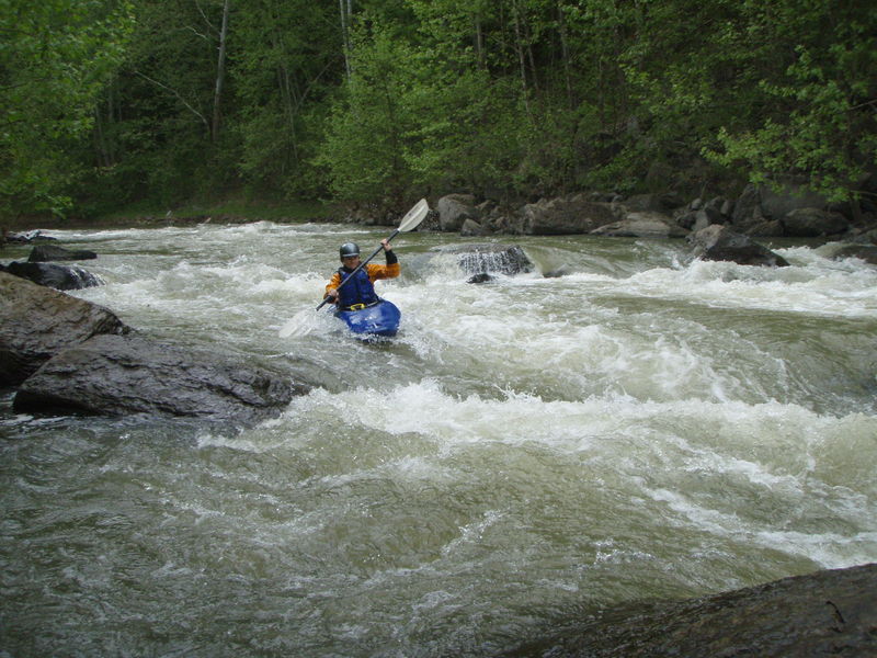 "King Queen Jack" Rapid