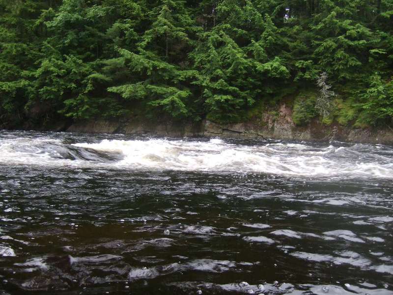 Moosehead Rapids