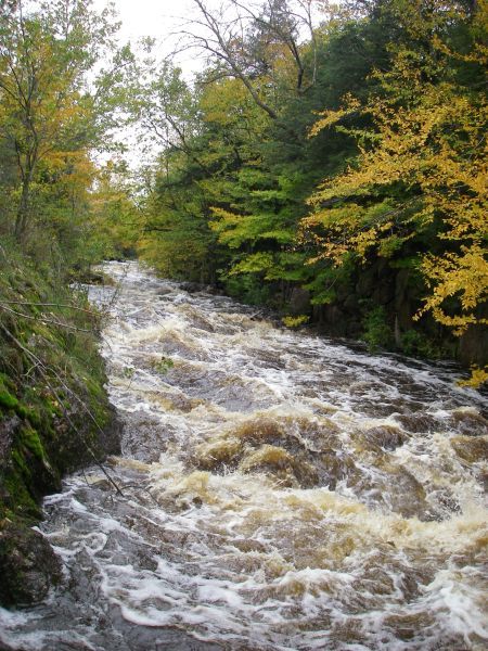 Upper (or Middle) and Lower Dells