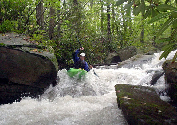 Typical of the upper part