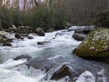 Trials and Tribulations